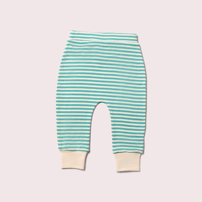 Little Dogs Organic Playset